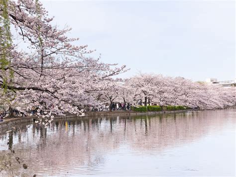 Ueno Park Tokyo, Japan - Condé Nast Traveler