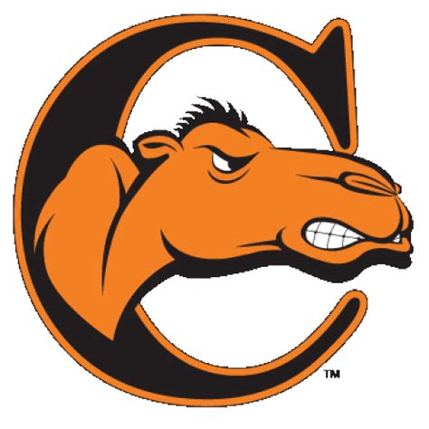 logo_-Campbell-University-Fighting-Camels-Camel-Head-C - Fanapeel