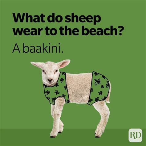 36 Sheep Puns You Haven't Herd Before | Reader's Digest