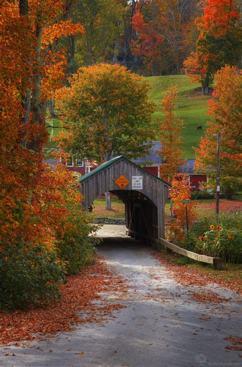 Classic Vermont Fall Foliage Tour (All DAY) – Local Captures