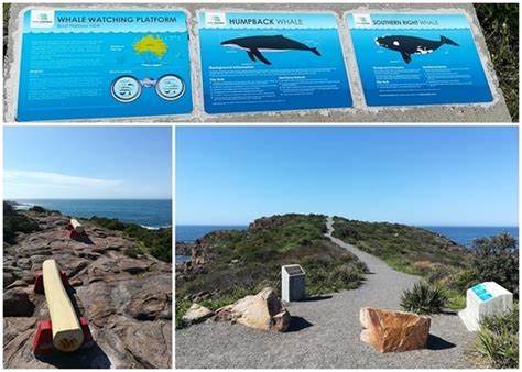 Where is the Best Whale Watching Lookout around Nelson Bay, Port Stephens? - New South Wales