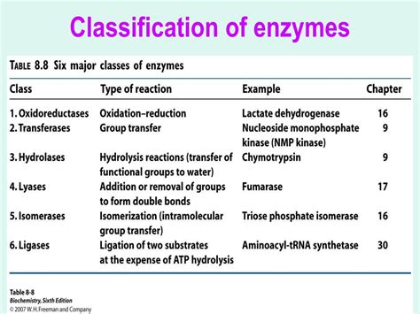 Enzyme Classification Examples at Victor Navarro blog