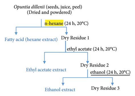 Maceration extraction process. | Download Scientific Diagram