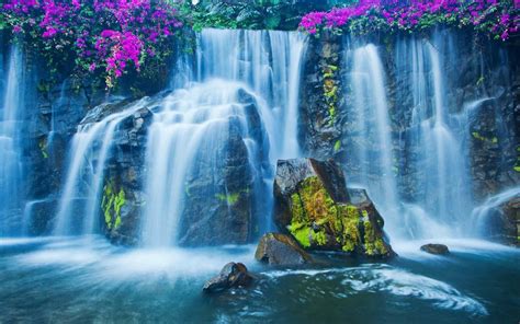 Waterfall with flowers HD wallpaper | Wallpaper Flare