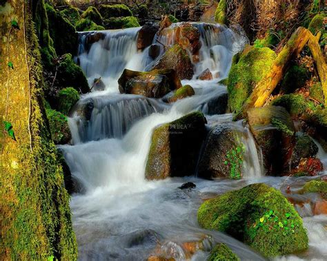 Free Screensavers Wallpapers of Waterfalls - WallpaperSafari