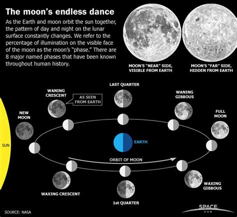 Earth's Moon Phases, Monthly Lunar Cycles (Infographic) | Space