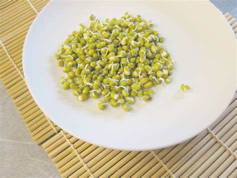 MUNG BEAN SPROUTS NUTRITION & ITS BIG BENEFITS - Natural Roots and Seeds