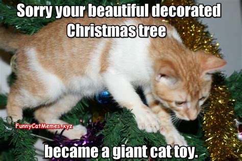 The Christmas Tree, A Giant Cat Toy! - Funny Cat Christmas MEME