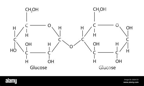 Maltose Structure Diagram