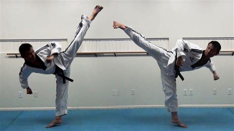 Taekwondo Side Kick Technique