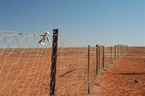 Dingo Fence - World's Longest Fence - Unbelievable Info