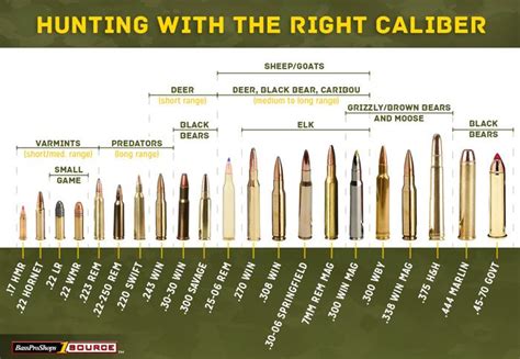 Rifle Ammunition Chart Size Pin On Hunting