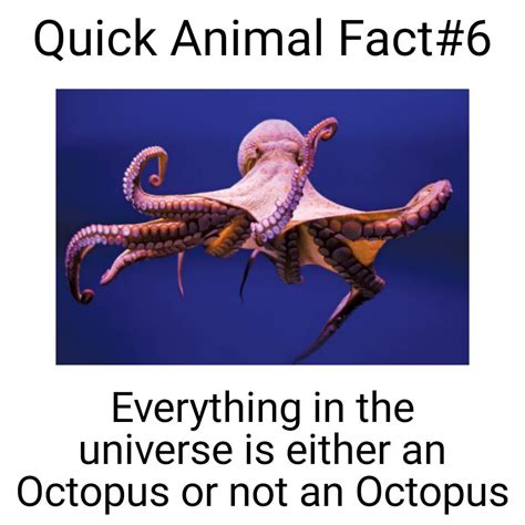 Guess I'm not an Octopus : r/memes