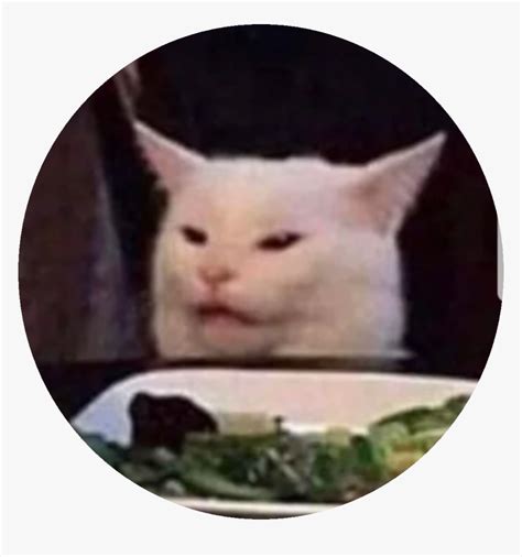 Cat Meme Salad - All templates / create meme cat crying meme salad, weeping cats memes, cat ...