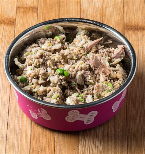 Healthy Homemade Dog Food - Tasty Low Carb