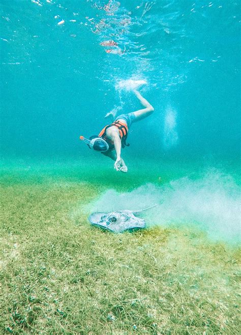 The Best Snorkeling Spots In Tulum You Need To Know About | Mexico