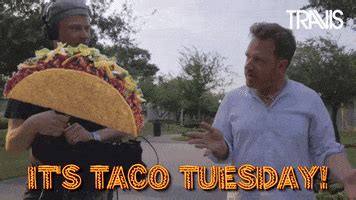 Taco Tuesday GIFs - Find & Share on GIPHY