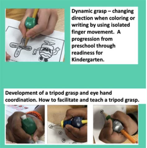 Promoting a Dynamic Grasp – with free training guides and activities | The Fine Motor Store