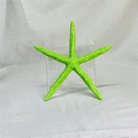 Lime Green Starfish • Natural Inspirations