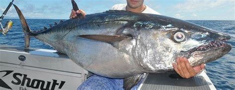 Dogtooth Tuna - Fishmasters.com