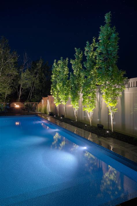 Landscape lighting | Swimming pool designs, Swimming pool lights, Swimming pools inground