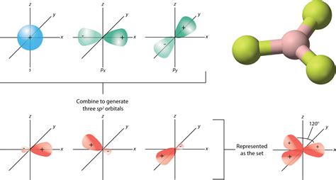 Hybrid orbitals - sp and sp² Study Guide | Inspirit