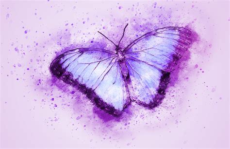 Butterfly Art Painting