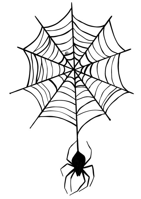 Spider Web Tattoo Designs