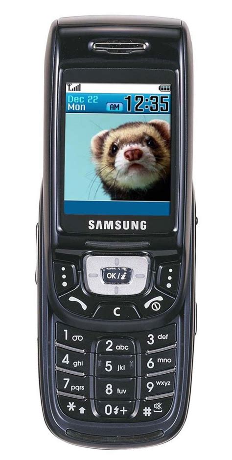 Samsung SGH-D500