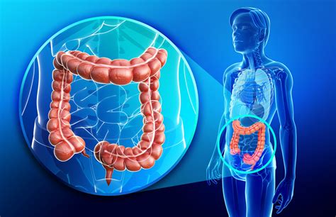 Maintenance treatment for metastatic colorectal cancer - Oncology Central