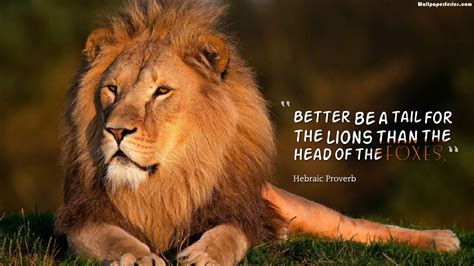 Leadership Lion Quotes Wallpaper 10718 - Baltana