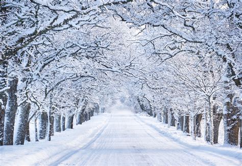 The Most Common Myths About Winter Snow - MyStart