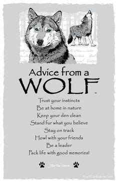 7 Popular Therian info ideas | wolf quotes, wolf, werewolf aesthetic