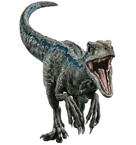 Fallen Kingdom: Blue the Velociraptor V2 by sonichedgehog2 on DeviantArt