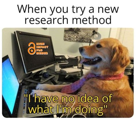 40+ Hilarious research memes that will make you smile - forms.app