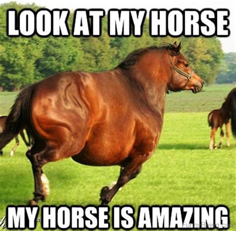 80 Super Funny Horse Memes