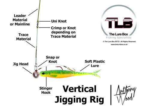 Vertical Jigging Rig Diagram | Lure Fishing Technique | The Lure Box