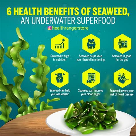 6 Health benefits of seaweed | Nutrition, Health, Health education