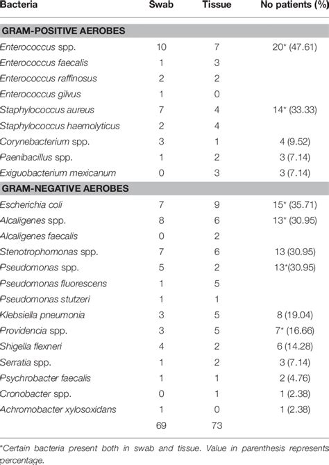 Tentative identification of aerobic bacteria isolated from swab and ...