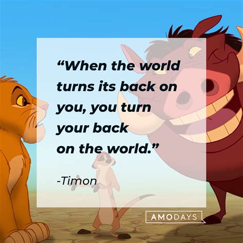 35 Timon Quotes on His Laidback Views Complete with Some Wisecracks