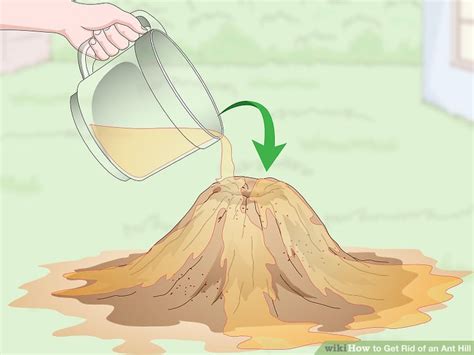 4 Easy Ways to Get Rid of an Ant Hill - wikiHow