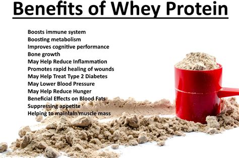 whey protein benefits - Fresh fitness