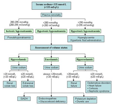 Hyponatremia Flowchart | Images and Photos finder