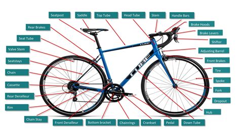 Complete Guide to All Road Bike Parts | Road bike parts, Road bike, Bike