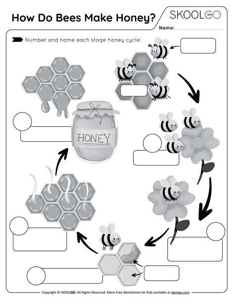 How Do Bees Make Honey? - Free Worksheet - SKOOLGO