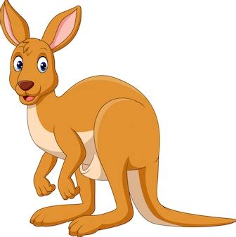 Cartoon Kangaroo Pictures - img-Abetzi