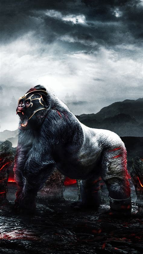 Silverback Gorilla Wallpaper Hd