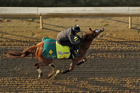 Kentucky Derby Horses Died 2024 - Gayel Joelynn