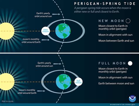 What is a perigean spring tide?