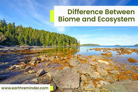 Major Difference Between Biome and Ecosystem | Earth Reminder